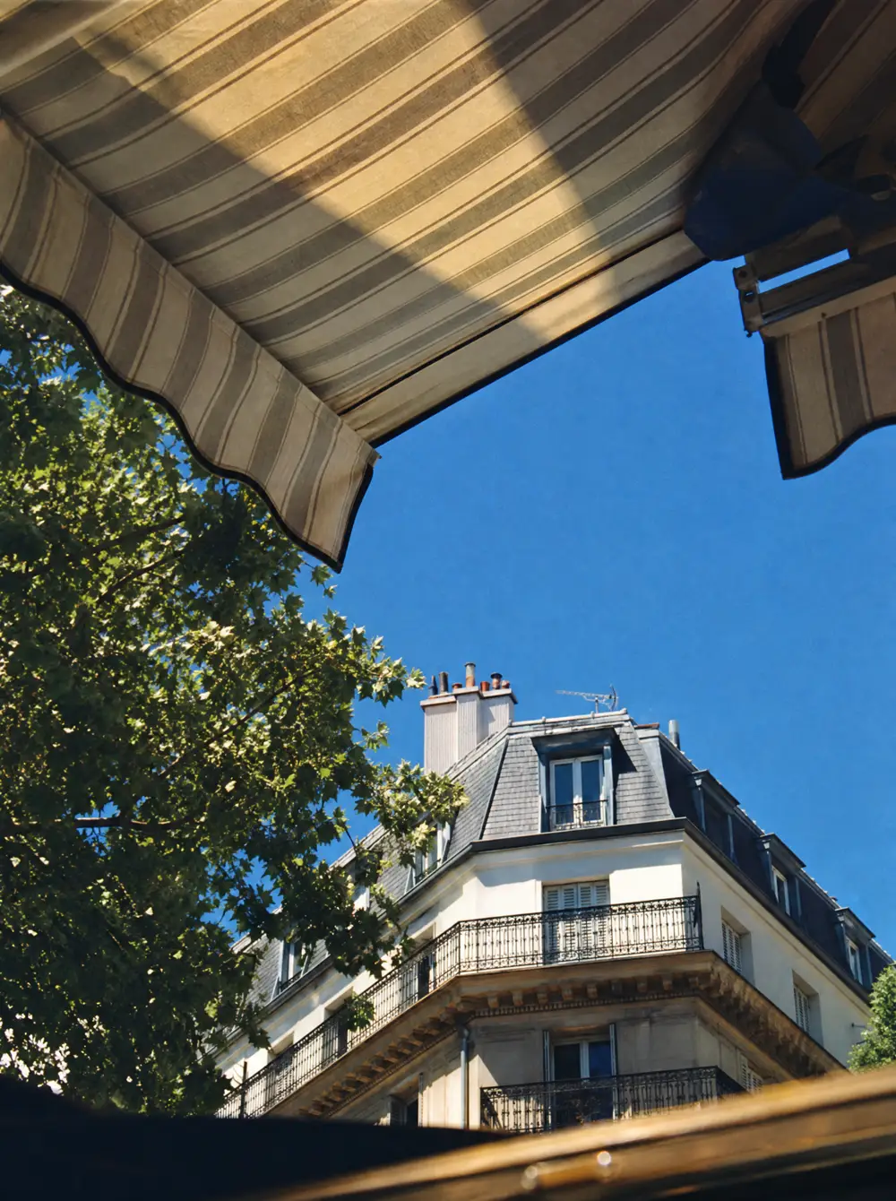 Le bord d'un auvent rayé contre un ciel bleu, des feuilles de platane